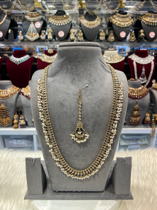 NAVNEET - Gold Pearl